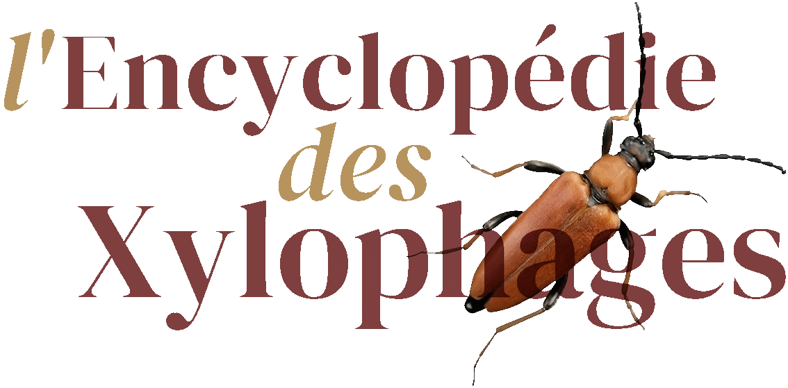 Encyclopédie des Xylophages